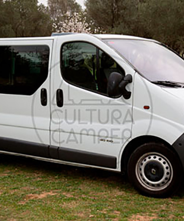 Renault Trafic Camper