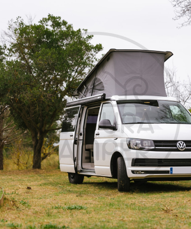 Volkswagen california con muebles a medida