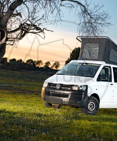 Volkswagen T6 con techo elevable